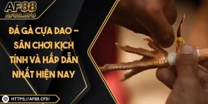Đá Gà Cựa Dao