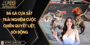 Đá Gà Cựa Sắt