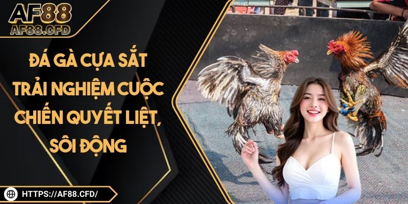 Đá Gà Cựa Sắt
